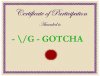 certificate for gotcha.jpg