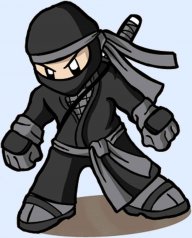 Ungrateful Ninja